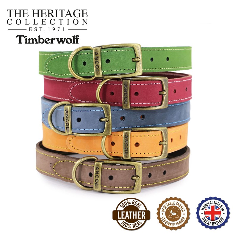 Ancol Timberwolf Comfortable Durable Leather Green Dog Collar Pet Training