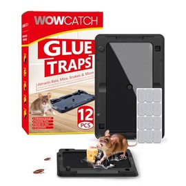 Wowcatch Sticky Mouse Traps Indoor for Home - 12 Pack Glue Traps for Roaches, Spider, Lizard, Rodent Catcher for Kitchen, Garage, Glue Boards for Insects, Pet Safe Pest Control, Non-Toxic, Small Size