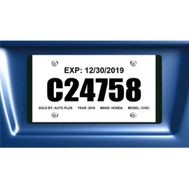 Auto Dealer Supplies Tear Resistant Temporary Tags for Car Dealers - Blank Printable - 1 Perforated Tear Off Section