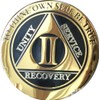 2 Year AA Medallion Elegant Black Gold Silver Plated Bi-Plate