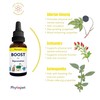 Phytopet Boost | 30ml | 100% Natural Herbal Remedy |