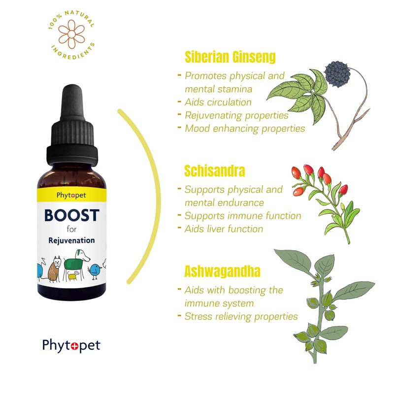 Phytopet Boost | 30ml | 100% Natural Herbal Remedy |