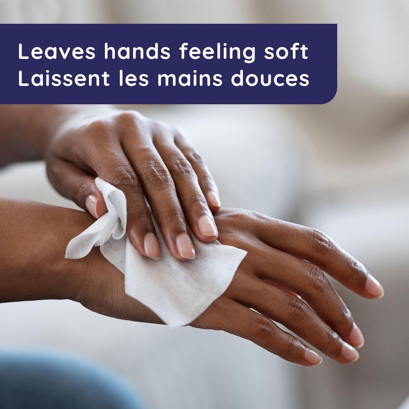 Wet Ones Wet Ones Antibacterial Hand Wipes, Citrus Scent, Wet
