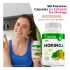 Bioherb Moringa 100 Pura Extremadamente Eficaz 180 Cápsulas 500 Potente