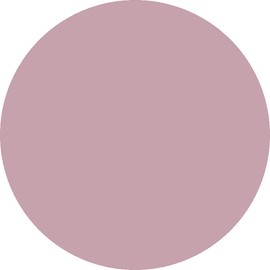 Mirage N/17 Color Powder 0.2 oz (7 g)