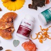 Griibok | Hongo Reishi | 90 cápusulas de 330 mg