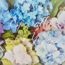 Sanrio JES 17-5 484318 Message Card Greeting Card Early Summer Flower Box Hydrangea