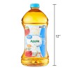 Unbranded (2 pack) Great Value Light Apple Juice, 96 fl