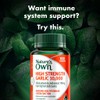 Nature's Own High Strength Garlic 10,000Mg 100 Tablets