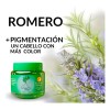 Gel para Peinar Árbol Verde Romero 250g