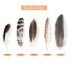 40pcs Natural Pheasant Feathers Bulk Spotted Feathers 5 Styles Mixed