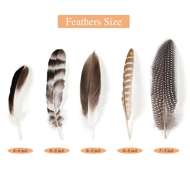 40pcs Natural Pheasant Feathers Bulk Spotted Feathers 5 Styles Mixed