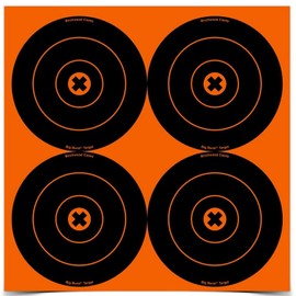 Birchwood Casey Big Burst 6-Inch Bull's-Eye, 12 - 6-Inch Revealing Targets
