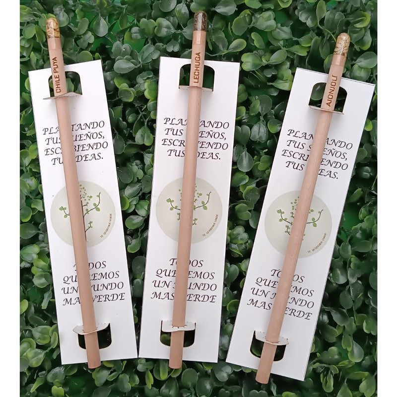 Lápiz con semilla ecológico 50 piezas