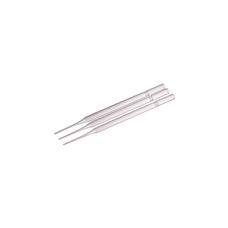 Pasteur Pipette, 20A (5 inch), 144 Count