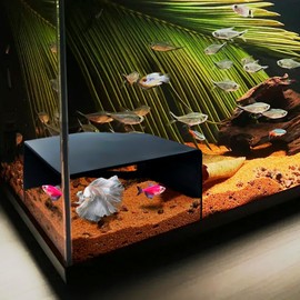 Aquarium Corner Cave Hide Axolotl Cichlid Cave Fish Tank Accessories, Corner Fish Aquarium Cave Hide with Viewing Window, Terrarium/Aquarium Underground Natural Cave