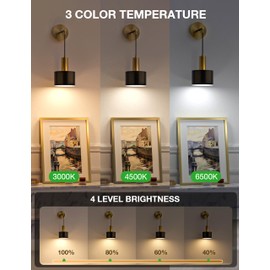 NIORSUN Battery Operated Wall Sconce Set of 2, Gold & Black Wireless Rechargeable Wall Lights with 5200mAh Dimmable Detachable Bulbs and Remote, 9 Colors Sconces Wall Decor for Bedroom Living Room