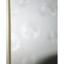 Unbranded Decorative Short Grain Paper with Feathered Pattern Beautiful 6" x 12"