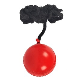 SG Synthetic I Ball with a cord Cricket Hanging Ball For Practice