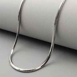 Titanium Steel Snake Chain Necklace, Unisex Fashion Style, Stackable Choker, Silver (Large)