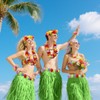 PIXHOTUL Grass Hula Skirt and Hibiscus Leis Set Hawaiian Costumes