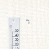 Shinwa Sokutei 48705 Petite Thermometer, Square, White, 4.7 inches (12