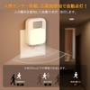 LUTW Motion Sensor Light, Indoor LED Night Light, Outlet (2025