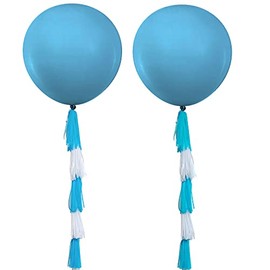 Light blue And White Tissue Paper Tassels 20 PCS,And Light blue Balloons 36 inches 2PCS