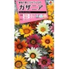 Takii Seedlings Gazania Talent Mix