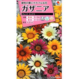 Takii Seedlings Gazania Talent Mix