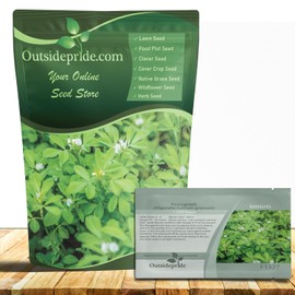 Outsidepride Fenugreek & Microgreens Seeds - 2000 Pcs. Annual, Versatile & Easy to Grow, Herb Seeds for Planting Nutrient-Rich, Fragrant & Flavorful Greens for Traditional Uses & Culinary Creations