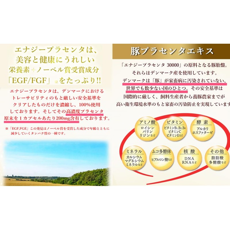 エナジー プラセンタ30000 30カプセル 3個セット