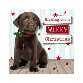Cute Black Lab Puppy Dog, Christmas Card Generic, Cute Christmas Cards, Christmas Card For Her, Xmas Card, Generic Christmas Card, Christmas Card,Dog Christmas Cards, Christmas Cards For Him