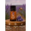 OLEUM VITAE Aceite Esencial de Lavanda. Lavandula Angustifolia. 100% Puro