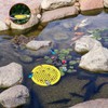 4Pcs Round Bee Feeder, Floating Butterfly Bee Watering Station, Outside