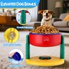 Mity rain Elevated Dog Bowls for Small & Medium Dogs,