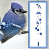 Gardenvy Blue Jay Bird Wind Chimes with Bells, Large Unique