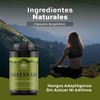 TIBET NATURA - Shatavari - 60 Cápsulas 500 mg c/u