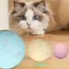 Peppy Pet Ball for Cats with Led Flash Colorful Lights