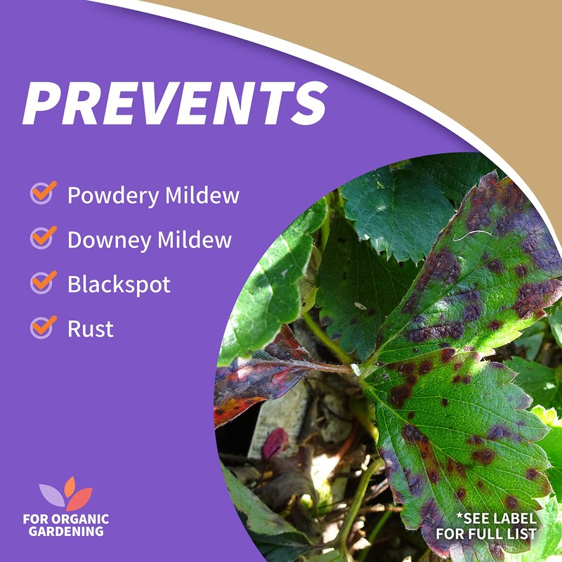 Bonide Captain Jack's Rose Rx 4-in-1 Insect & Disease Control,