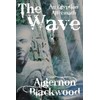 The Wave: An Egyptian Aftermath