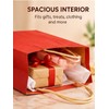 Kraft Paper Gift Bags with Handles for Party Favors –