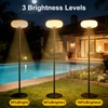 ACOHOOK Solar Outdoor Floor Lamp for Patio, Rechargeable Standing Lamp