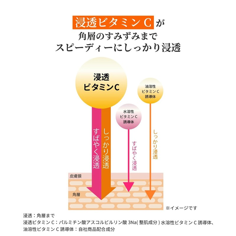 DR.CI:LABO (Dr.Ci:Labo) New VC100 Essence Lotion EX II Face Mask