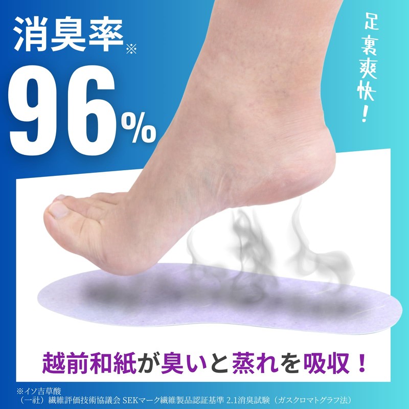 Amelia [Made in Japan/Disposable] Echizen Washi Insoles, Deodorizing, Set of