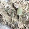 ˡᴬᴺᵀᶤˡ Mongul Green Handmade Nail Tip – Short Oval /