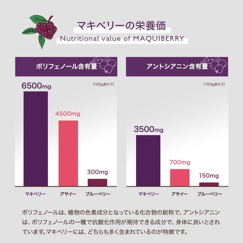 有機JAS マキベリーパウダー 300g（国内選別・充填)
