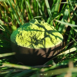 Barley Grass Powder, Premium Quality, 500 g