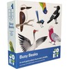 Joey Games | Busy Beaks | Ages 8+ | Board