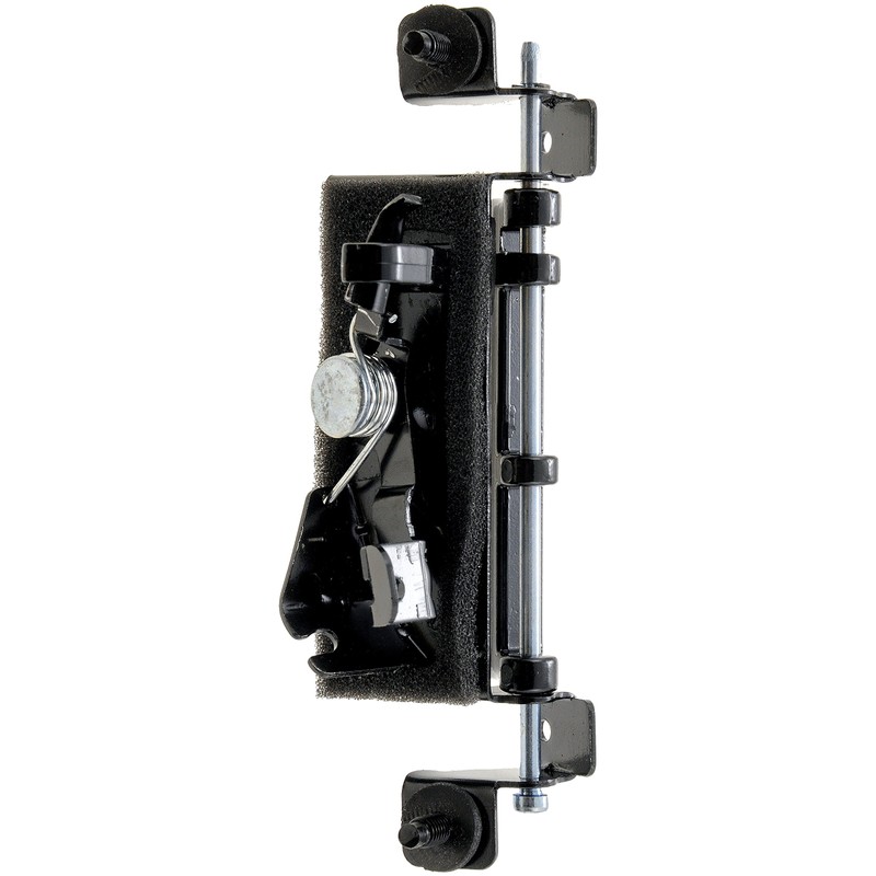 Dorman 79600 Liftgate Latch Handle Compatible with Select Toyota Models,